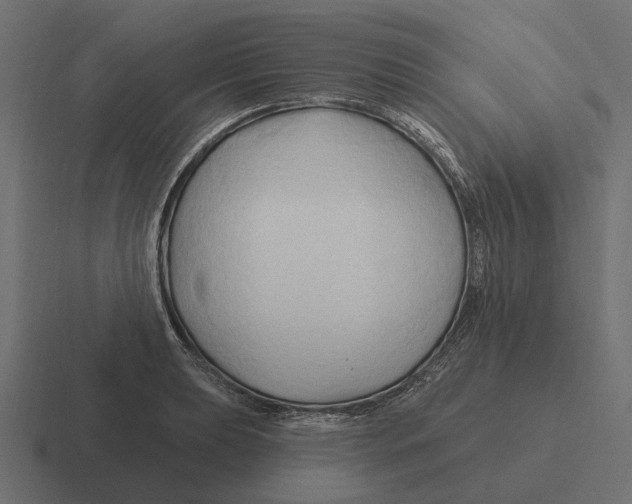 X0000116281039200912291349