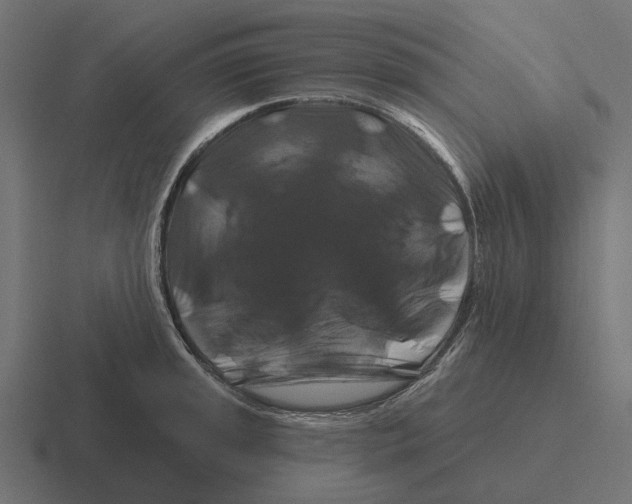X0000116281045200912291349