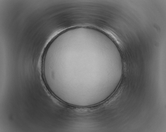 X0000116281046200912291349
