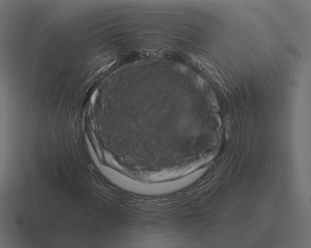 X0000116281060200912291348