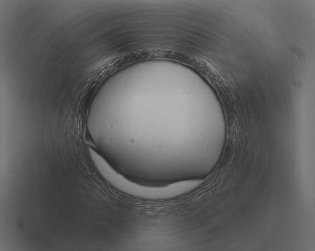 X0000116281062200912291348