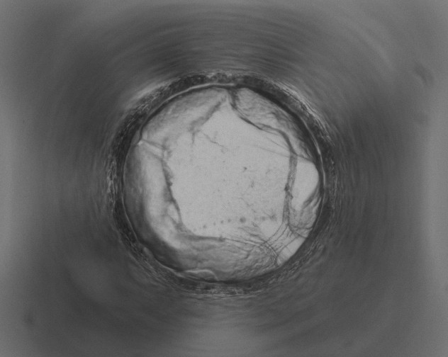 X0000116281063200912291348