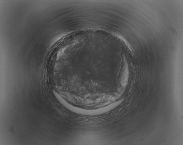 X0000116281064200912291348