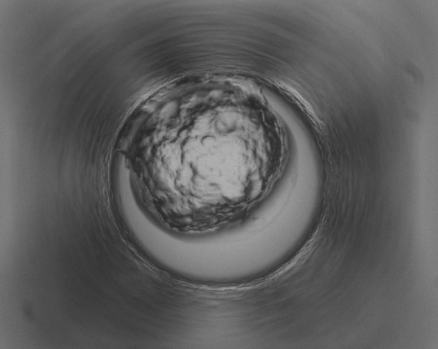 X0000116281065200912291348