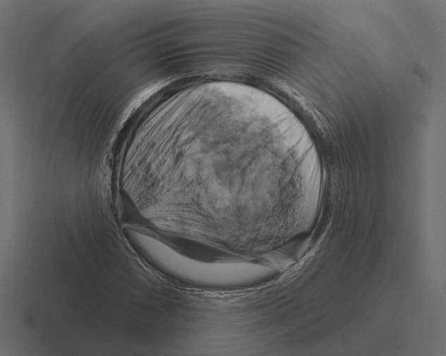 X0000116281066200912291348