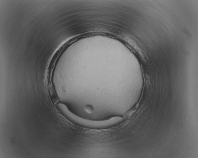 X0000116281068200912291348