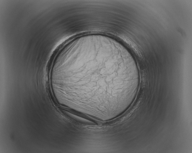 X0000116281070200912291348
