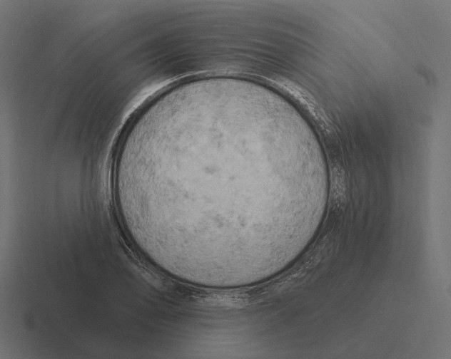 X0000116281078200912291348