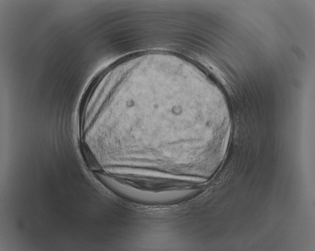 X0000116281080200912291348