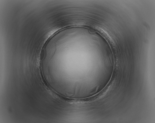 X0000116281081200912291348