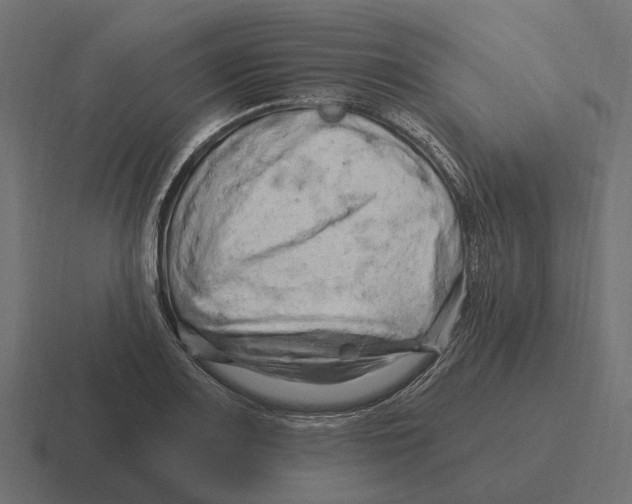 X0000116281083200912291348