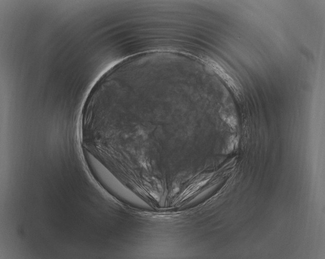 X0000116281084200912291348