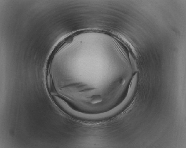 X0000116281085200912291348