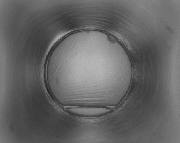 X0000116281086200912291348