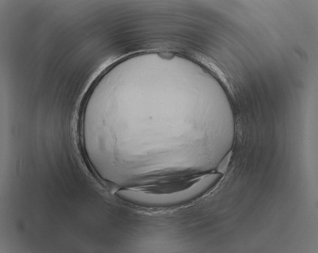 X0000116281091200912291348