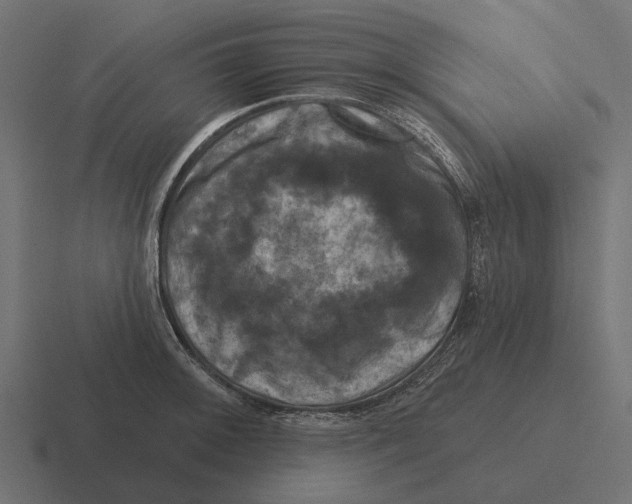 X0000116281092200912291348