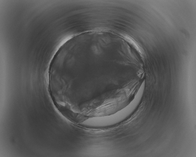 X0000116281095200912291348