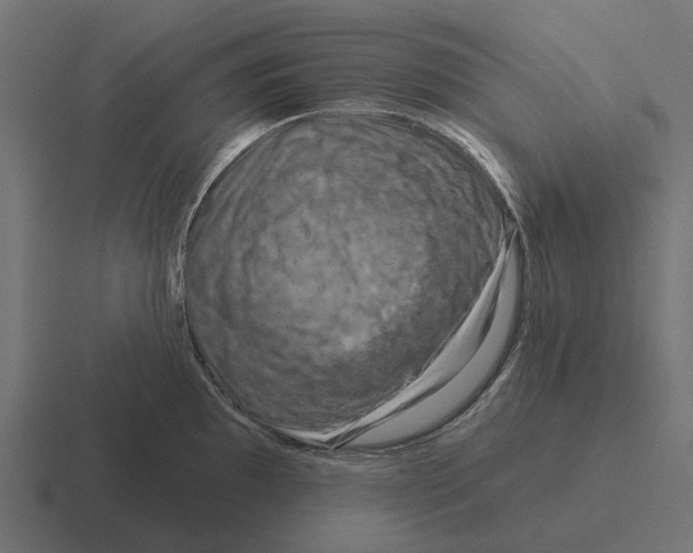 X0000116281097200912291348