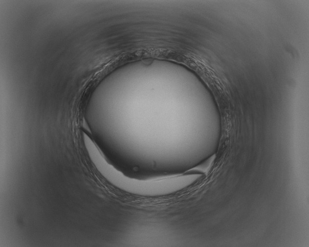 X0000116281109200912291347