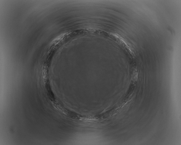 X0000116281110200912291347