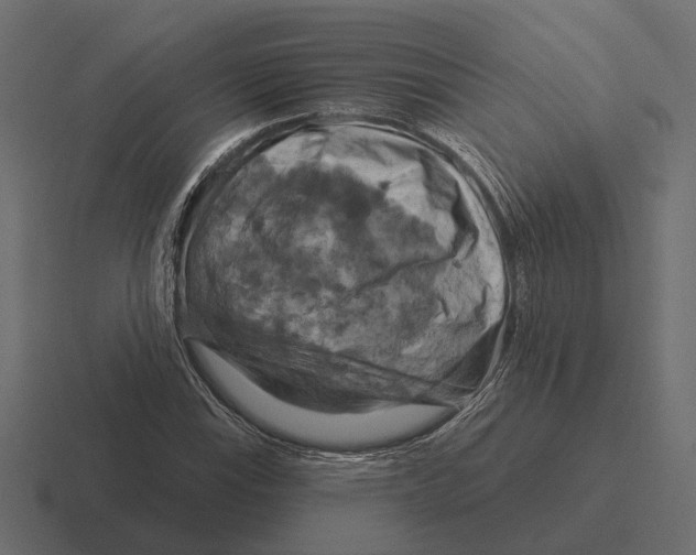 X0000116281115200912291347