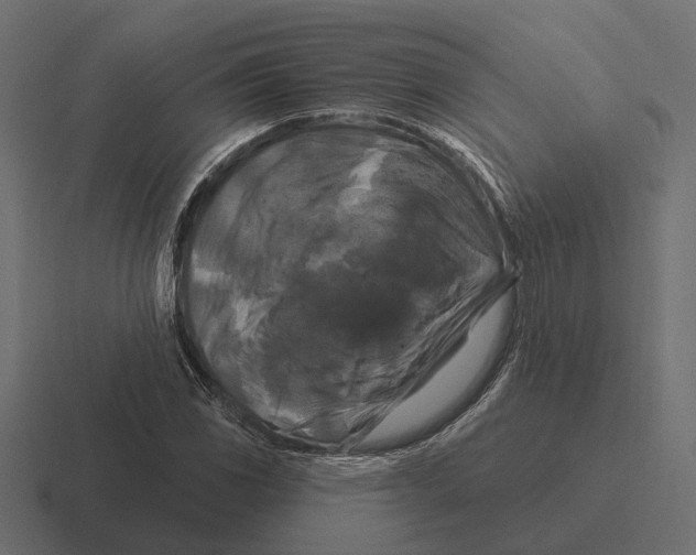X0000116281117200912291347