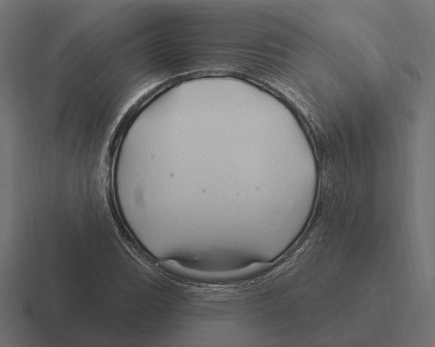 X0000116281119200912291347