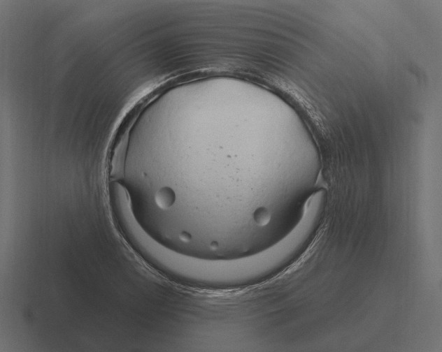 X0000116281122200912291347