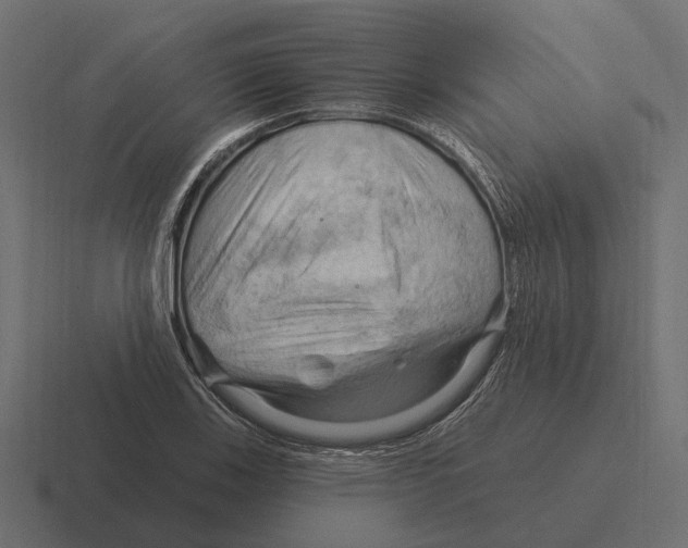 X0000116281123200912291347
