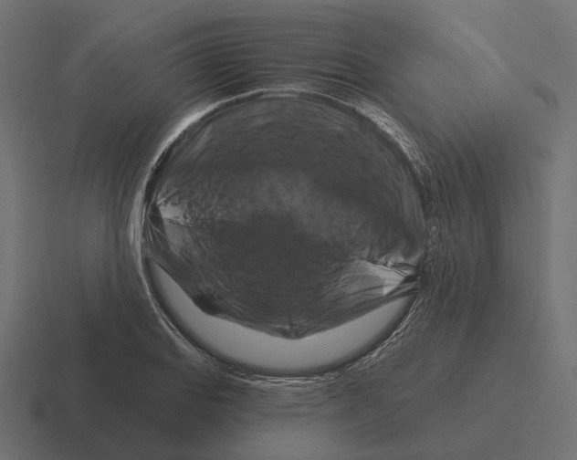 X0000116281127200912291348