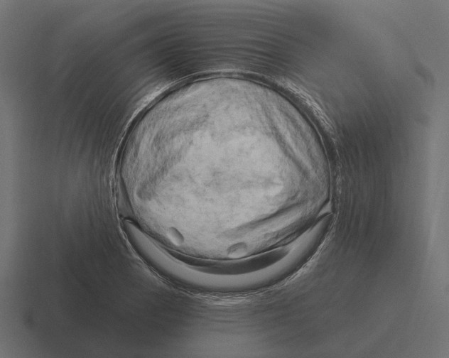 X0000116281129200912291348