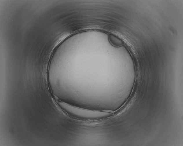 X0000116281137200912291348