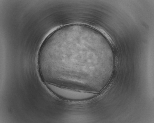 X0000116281142200912291348