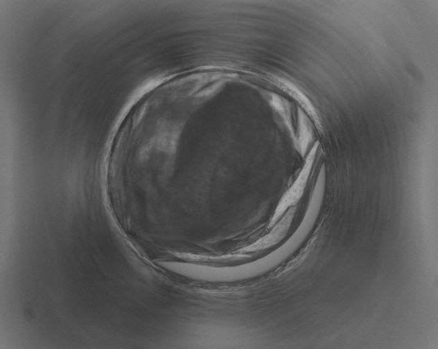 X0000116281146200912291348