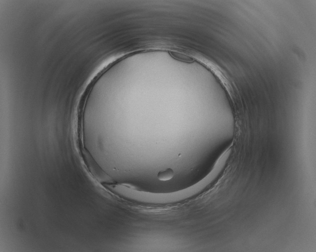X0000116281147200912291348