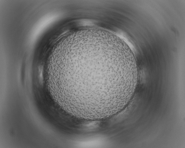 X0000116281150200912291348