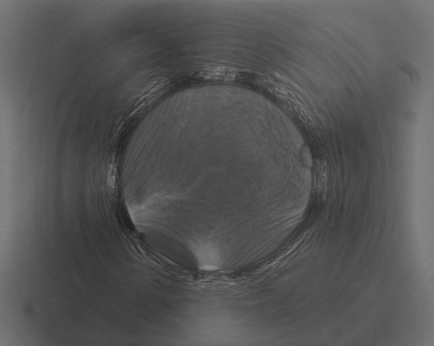 X0000116281154200912291347