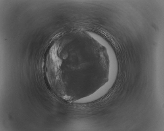 X0000116281155200912291347