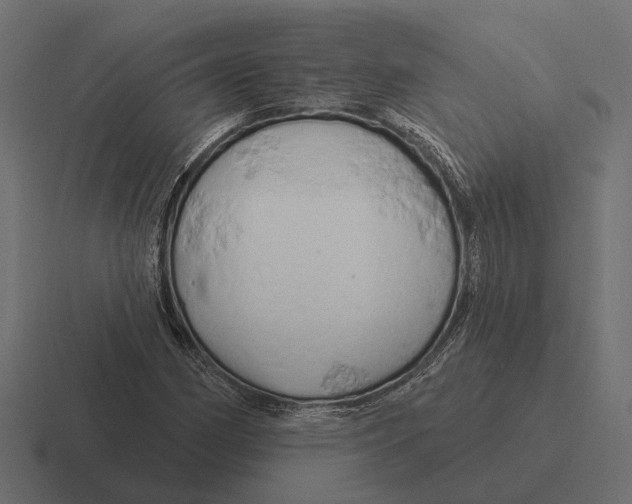 X0000116281162200912291347