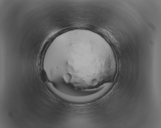 X0000116281164200912291347