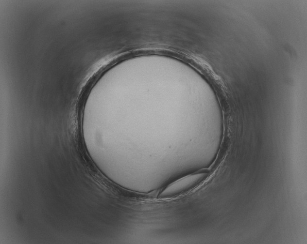 X0000116281167200912291347