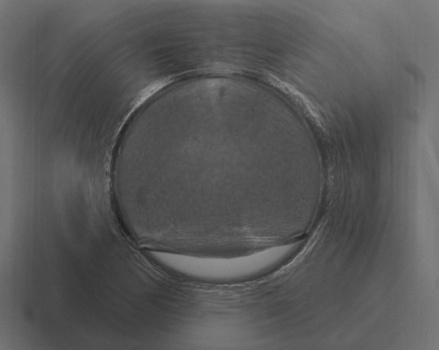 X0000116281170200912291347