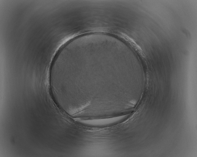X0000116281174200912291347