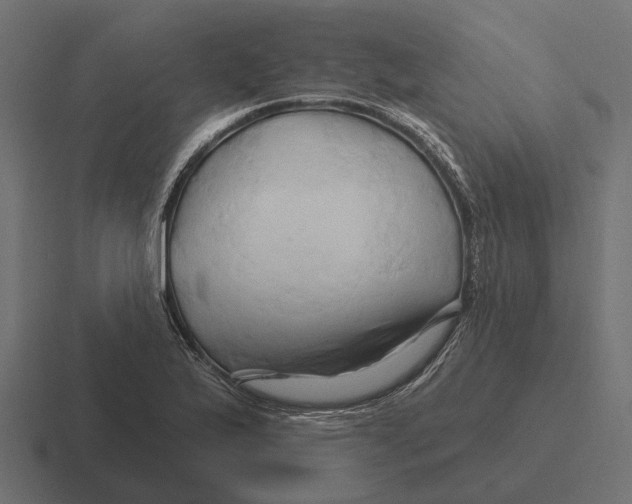 X0000116281175200912291347