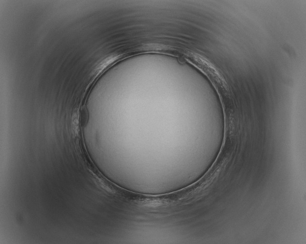 X0000116281177200912291347