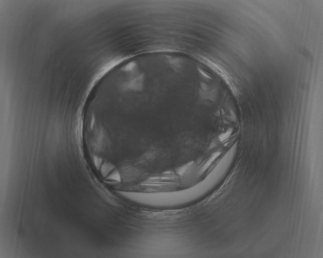 X0000116281179200912291347