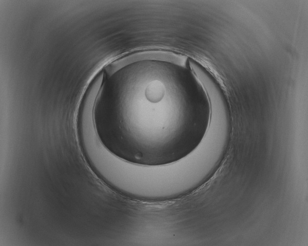 X0000116281181200912291347