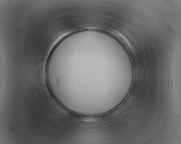 X0000116281182200912291347