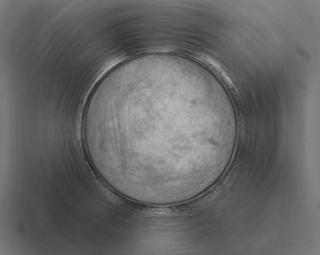 X0000116281186200912291347
