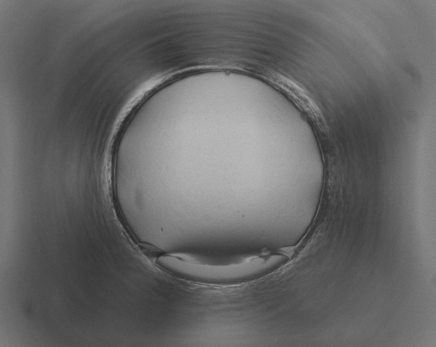 X0000116281188200912291347